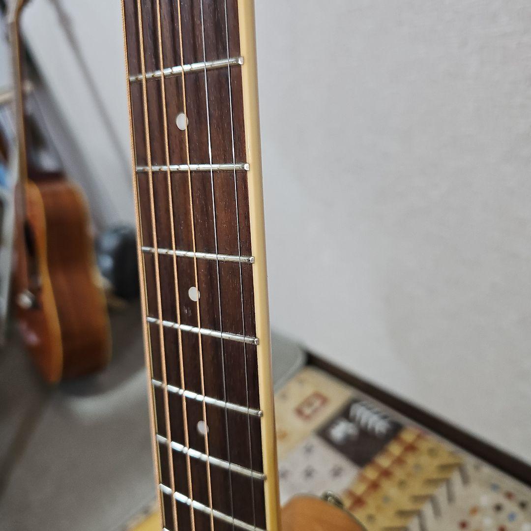 Epiphone.PERFORMER.SE Shadow.nanoMGAエレアコ