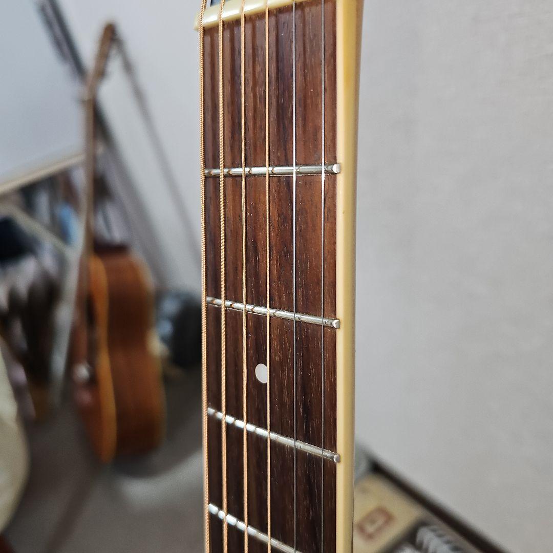 Epiphone.PERFORMER.SE Shadow.nanoMGAエレアコ