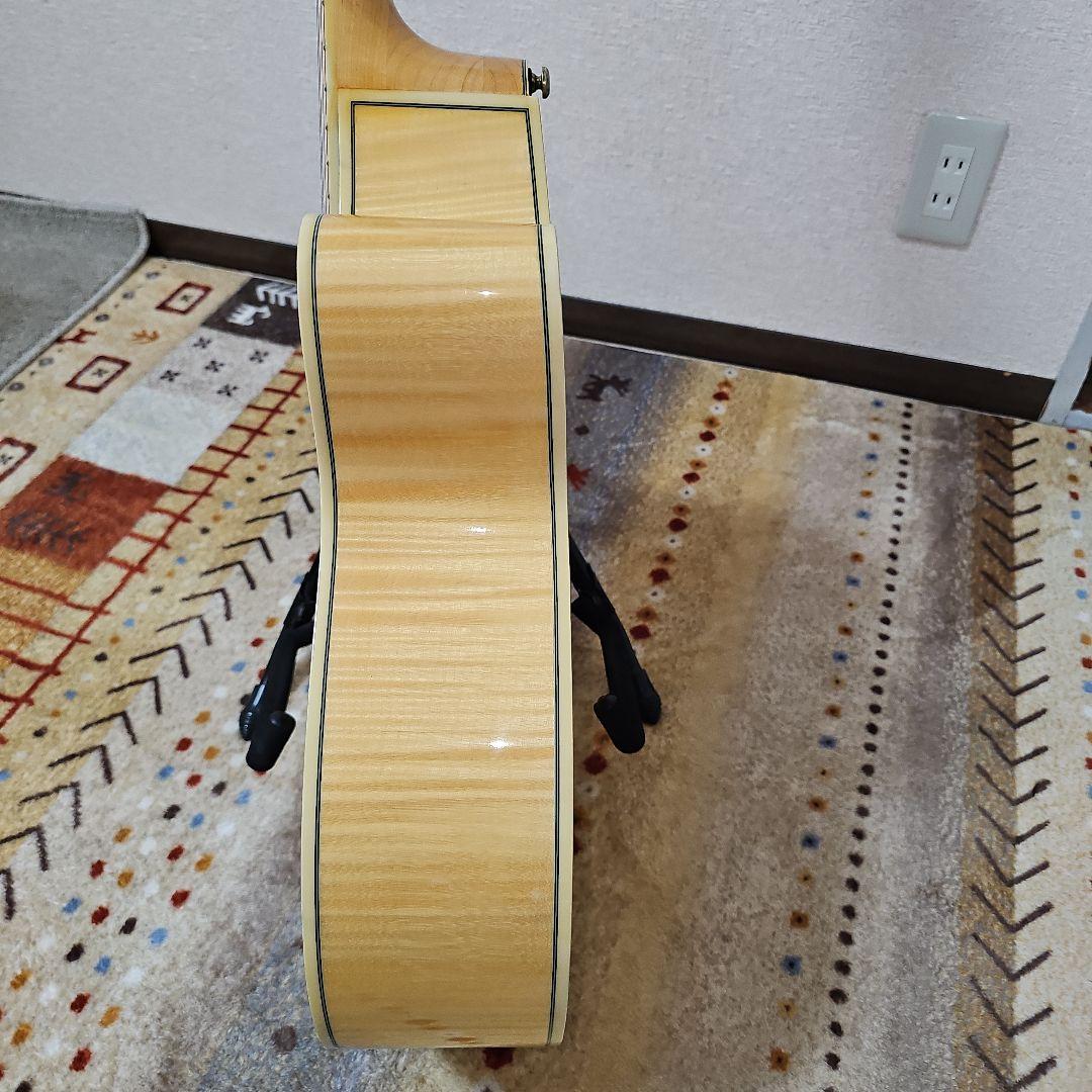 Epiphone.PERFORMER.SE Shadow.nanoMGAエレアコ