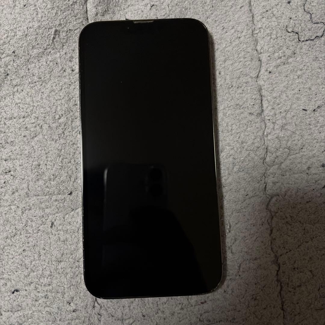Apple iPhone 13 Pro Max グラファイト 充電ケーブル付き