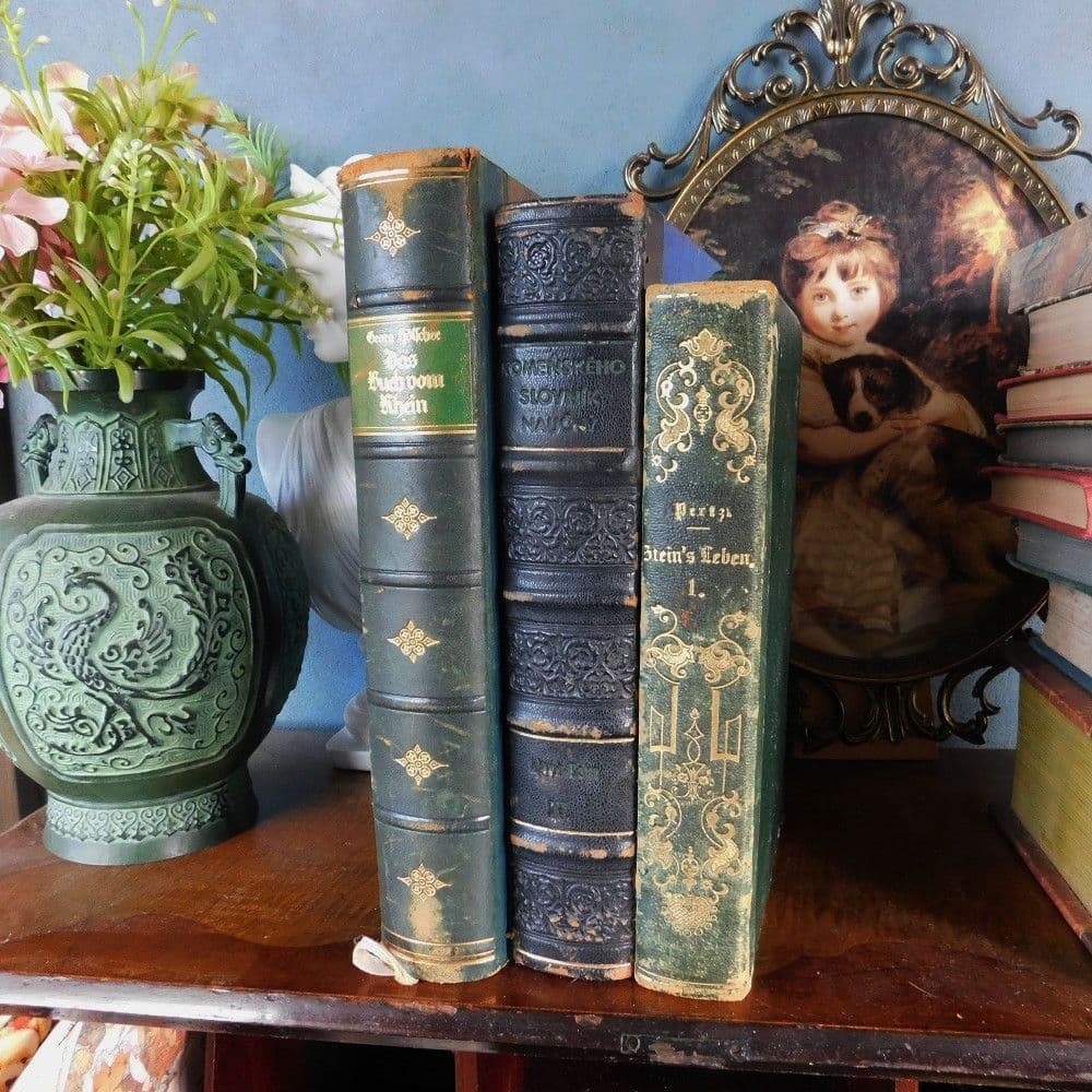 3冊セット.:*゜背表紙が素敵なドイツとチェコの古書　19－20世紀　まとめ売り