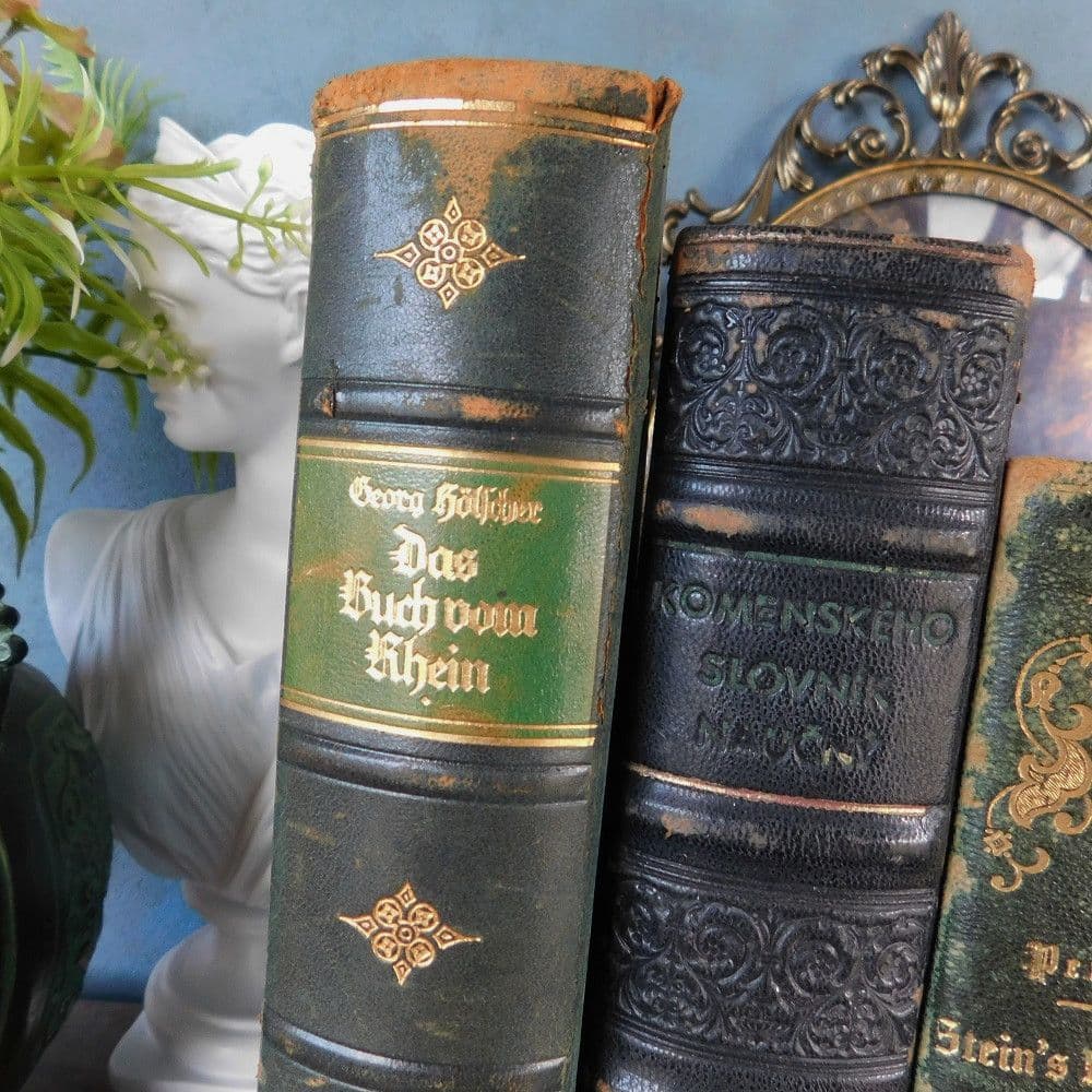 3冊セット.:*゜背表紙が素敵なドイツとチェコの古書　19－20世紀　まとめ売り