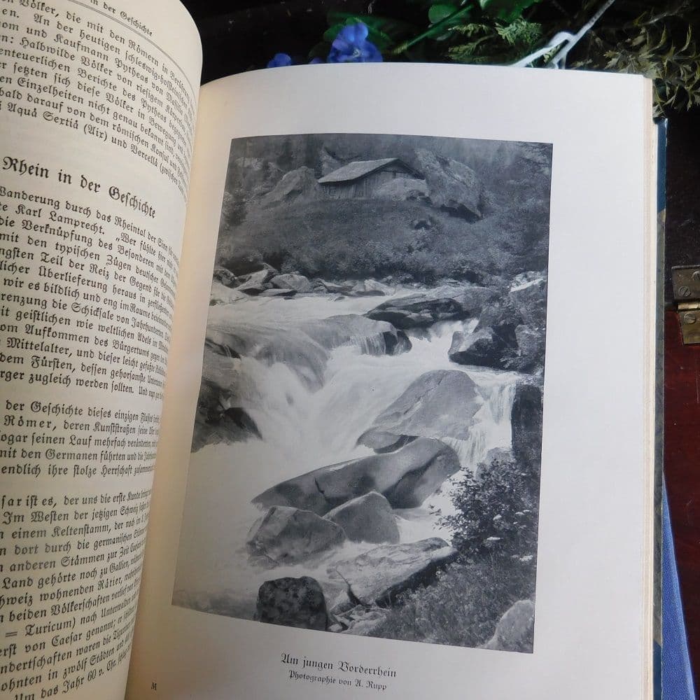 3冊セット.:*゜背表紙が素敵なドイツとチェコの古書　19－20世紀　まとめ売り