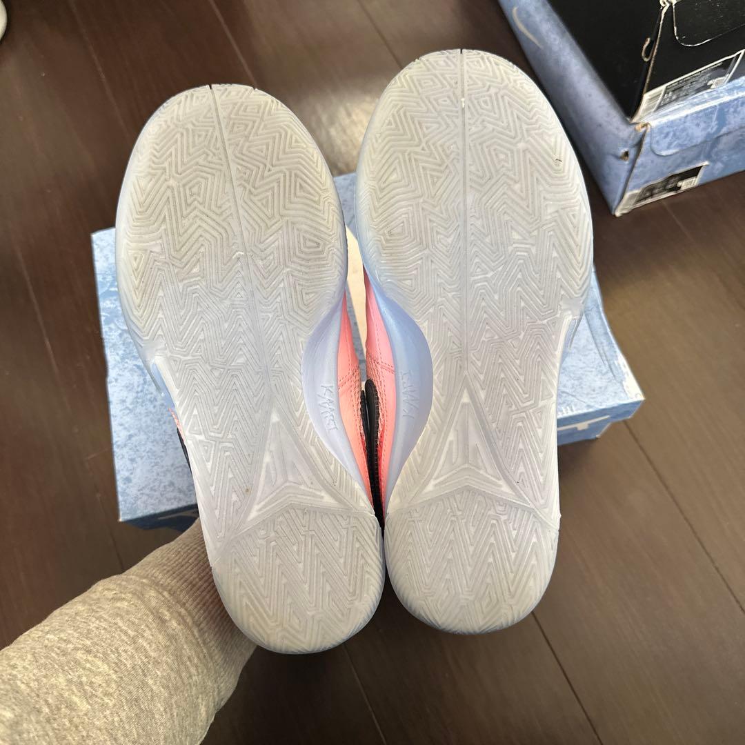 シューズ(男性用) NIKE JA 1 PE 29cm