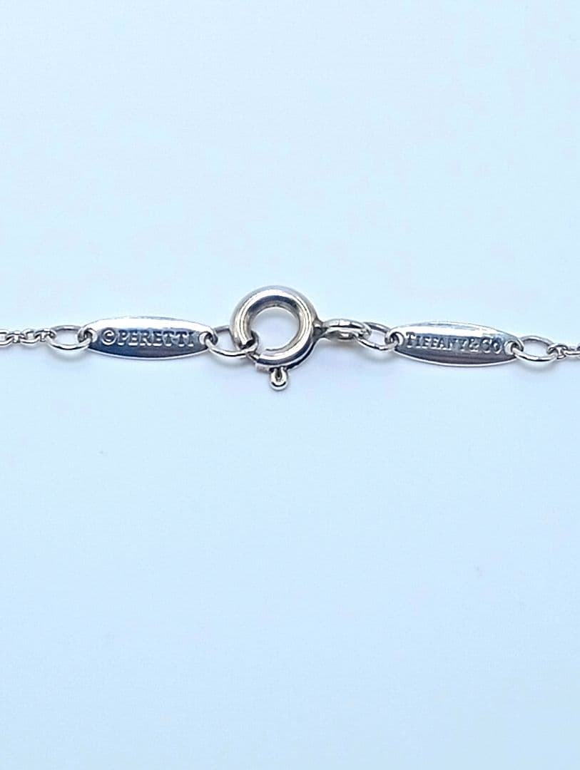 TIFFANY 【未使用】カラー バイ ザ ヤード アクアマリン ペンダン