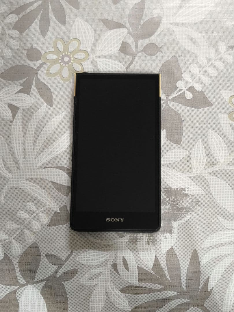 R*T様 SONY NW-ZX707 デジタルオーディオプレーヤー