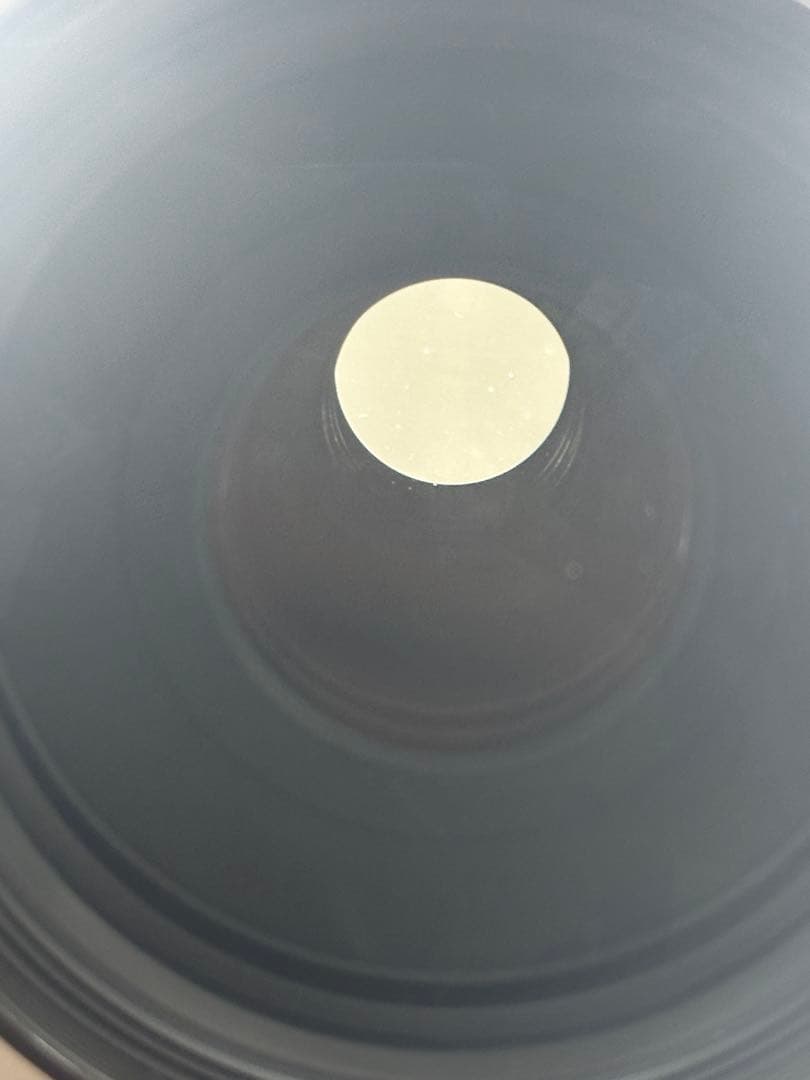 Canon EF70-300mm F4-5.6L IS USM 動作良好