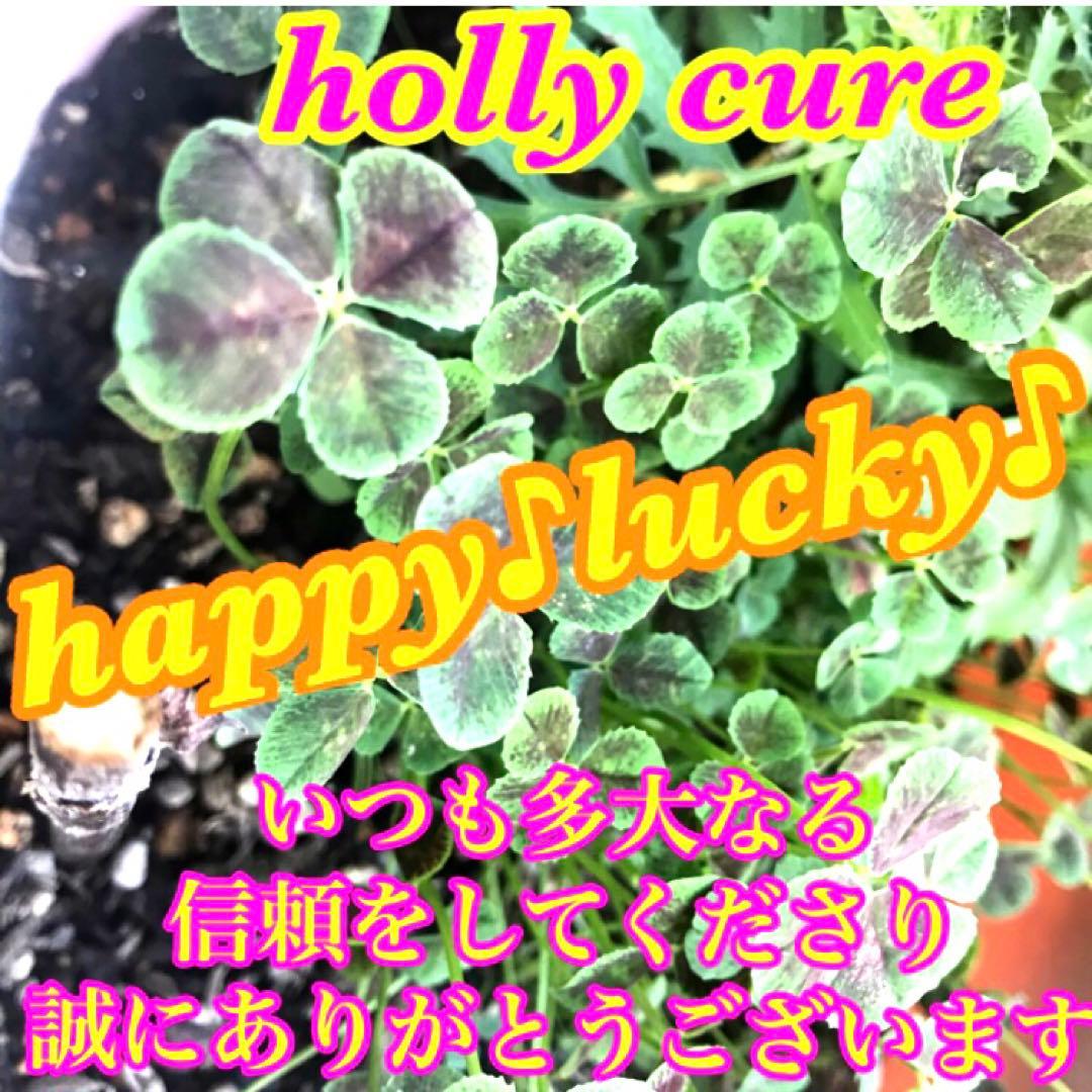 秘符(さくら)邪悪　邪気　悪霊　生き霊　怨霊　先祖供養　護符　霊符　お守り