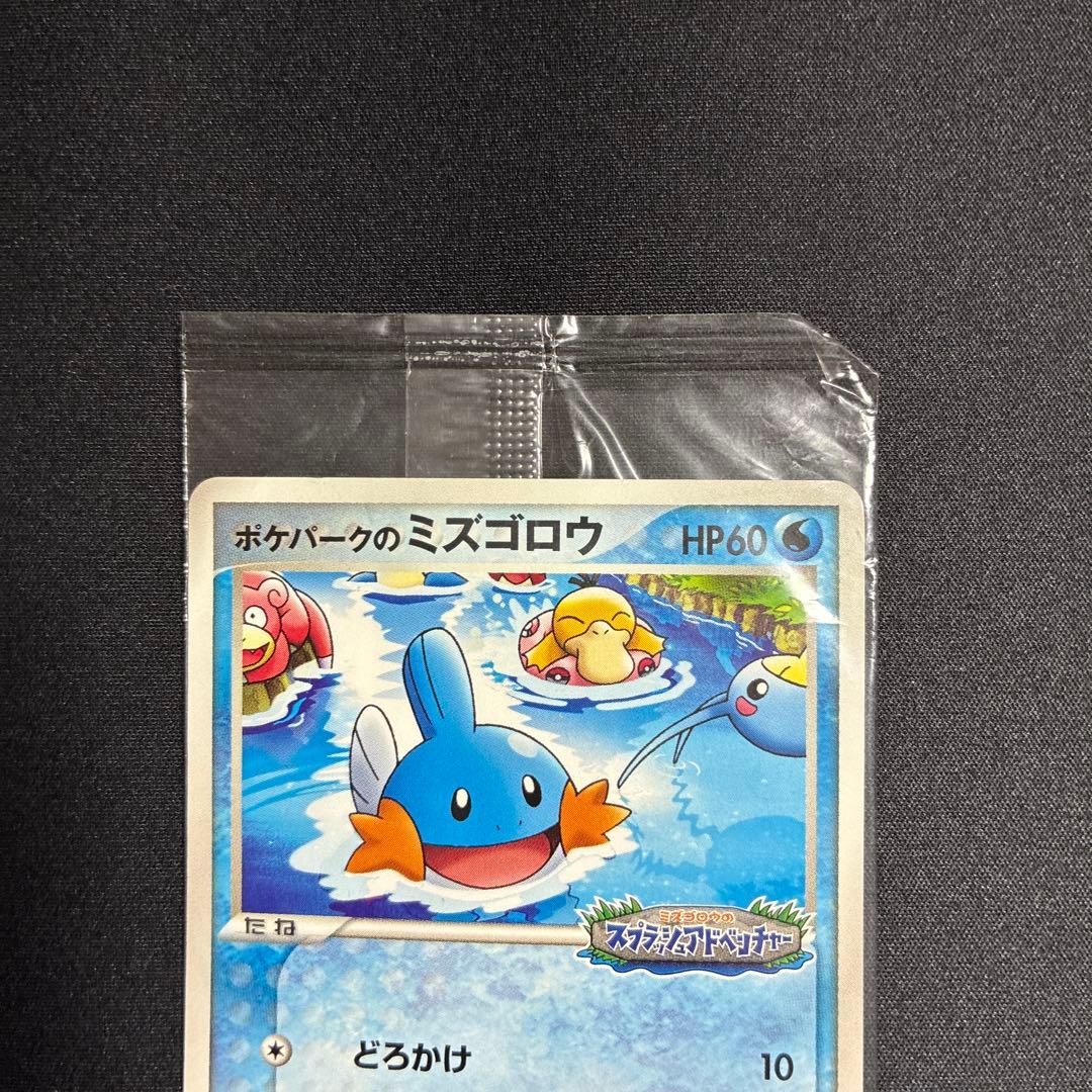 ポケパークのミズゴロウ プロモ 048/PCG-P ポケモンカード