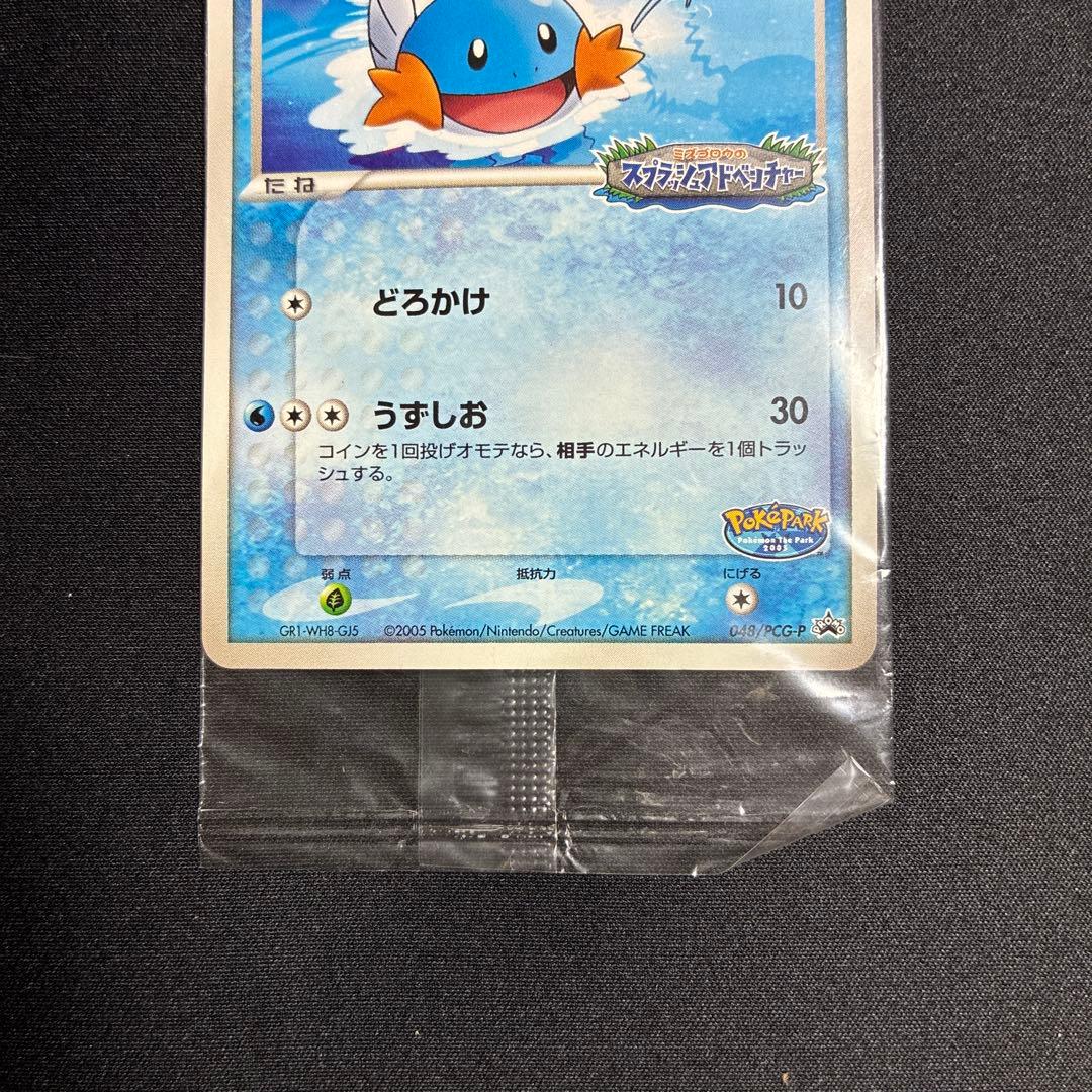 ポケパークのミズゴロウ プロモ 048/PCG-P ポケモンカード