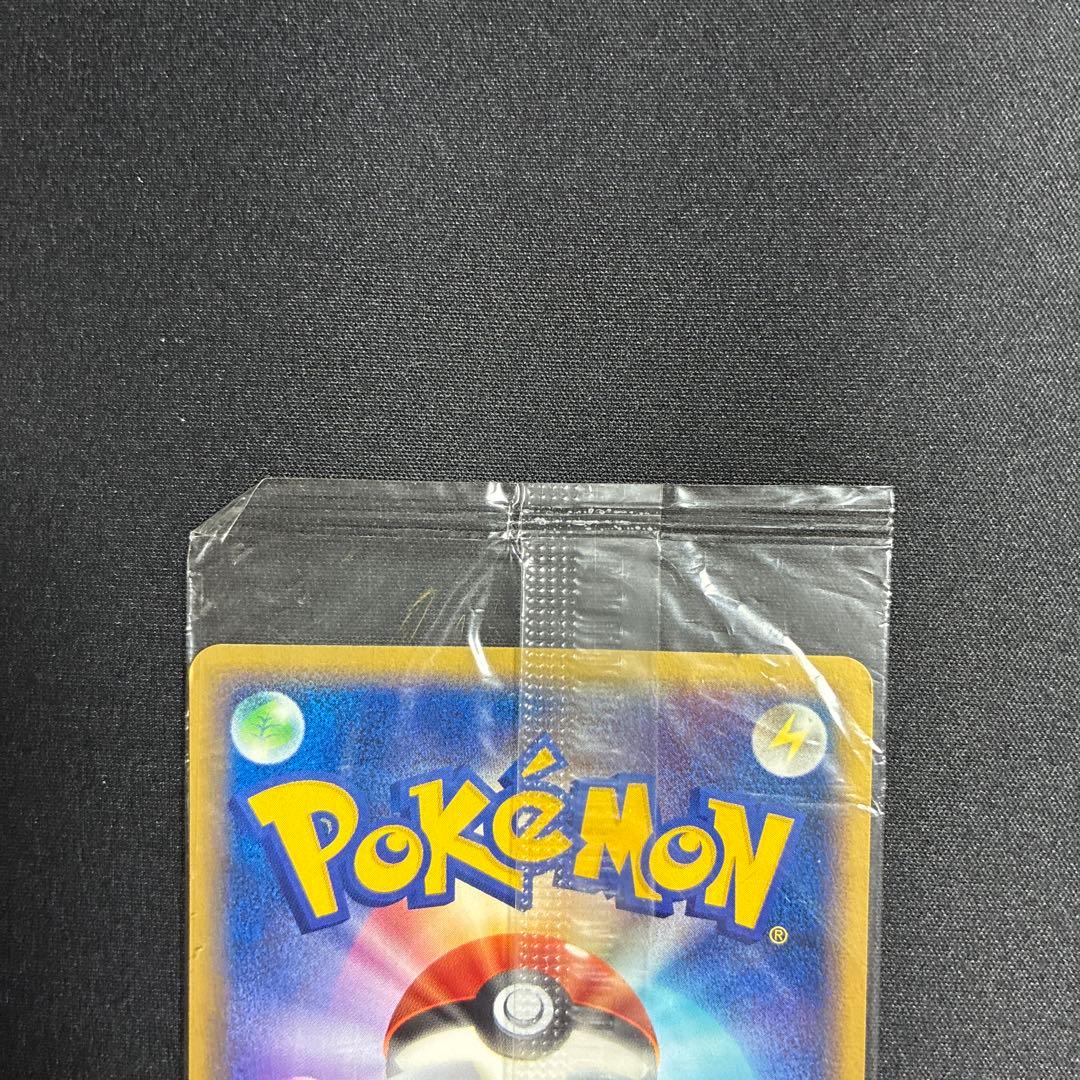 ポケパークのミズゴロウ プロモ 048/PCG-P ポケモンカード