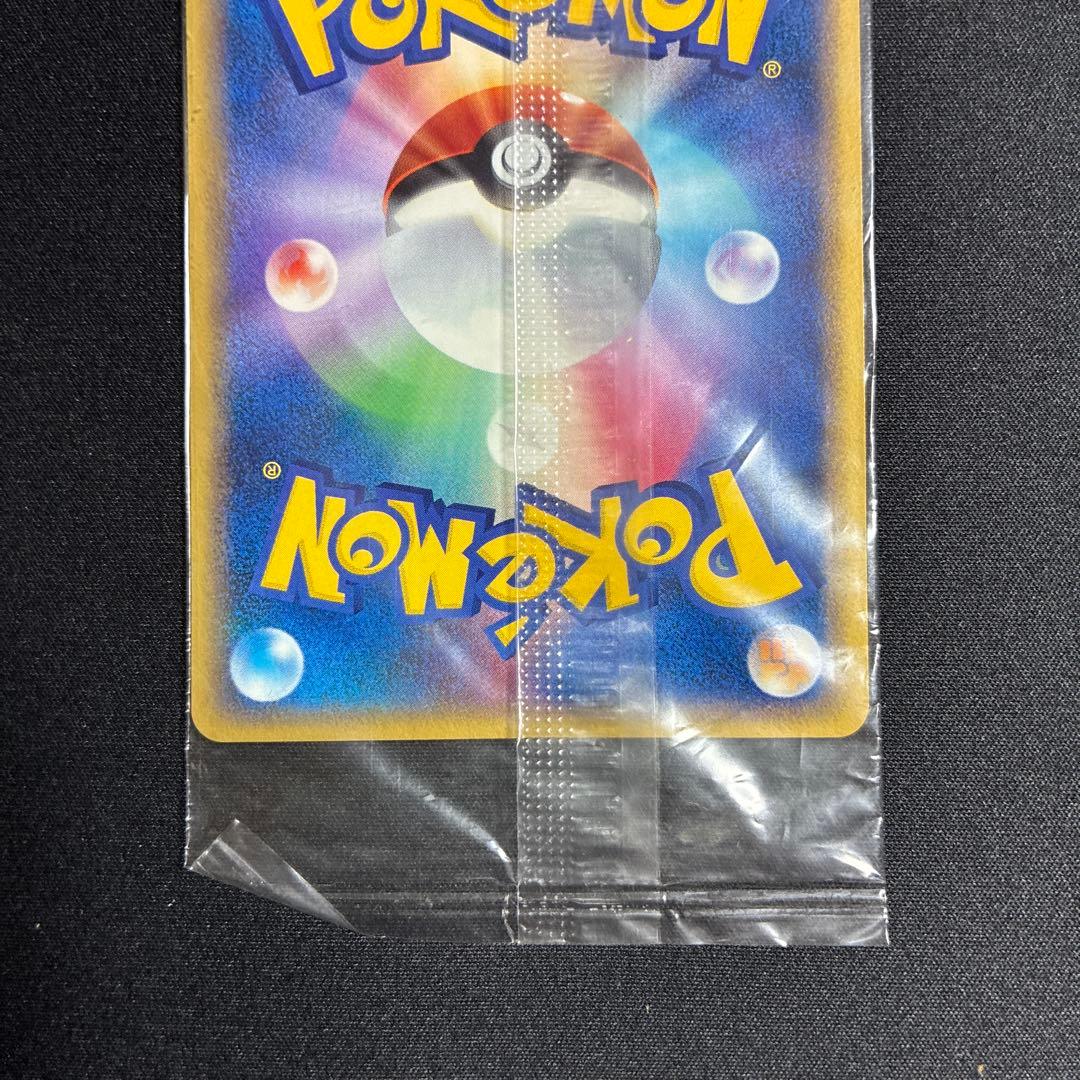 ポケパークのミズゴロウ プロモ 048/PCG-P ポケモンカード