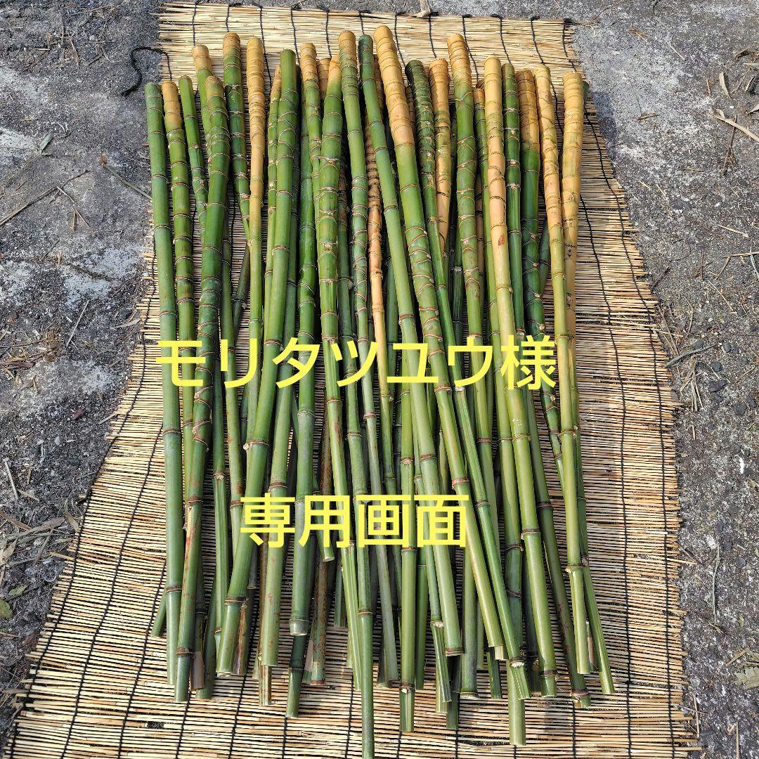 モリタツユウ様「専用画面」　香川県産→　布袋竹（50本）　全長　110cm