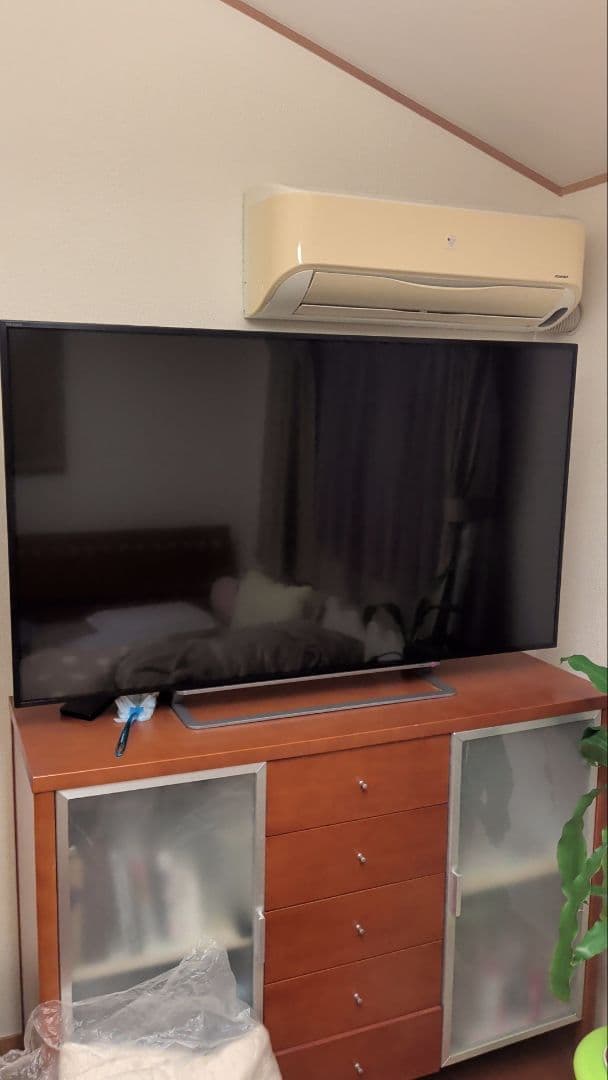 TOSHIBA REGZA 55G20X 55V型＆1tbHD＆fireTV付き