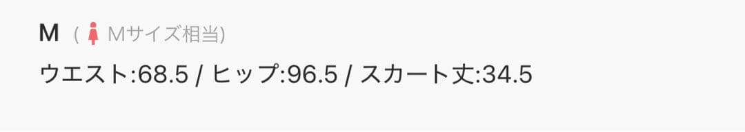 ANNASUI NYC ヴィンテージライクインナーパンツショートスカートMサイズ