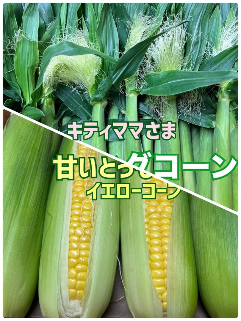 キティママさまヤングコーン&とうもろこし