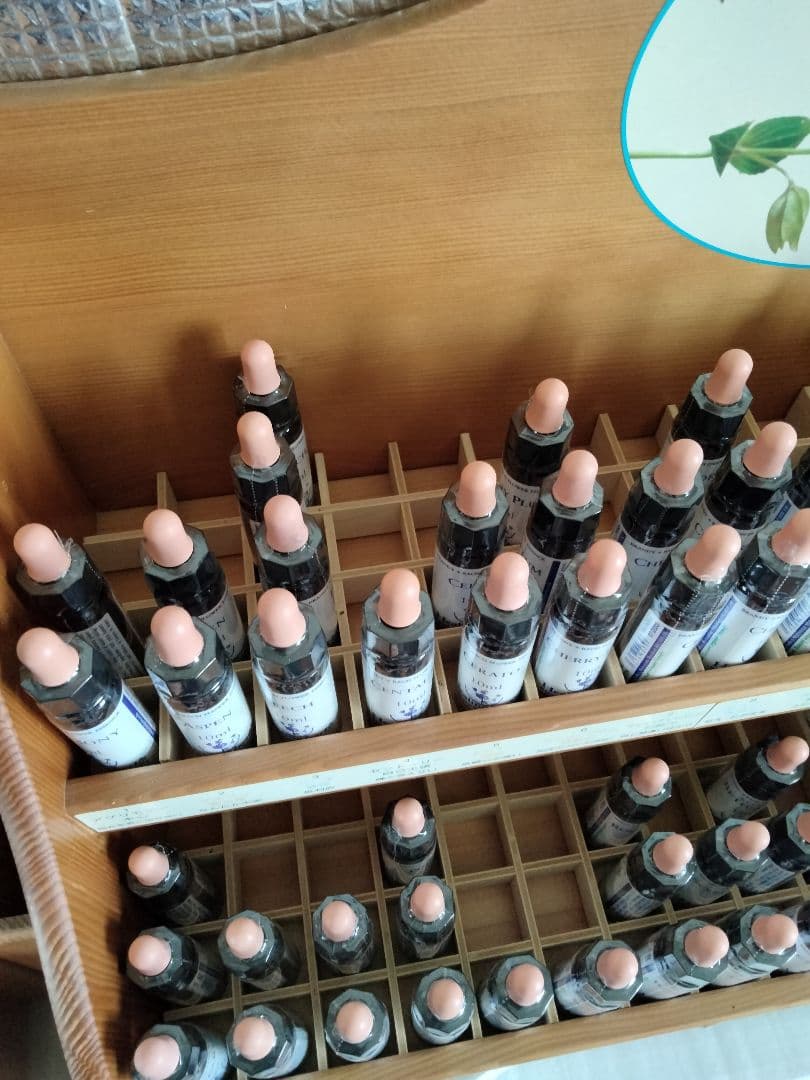 たろう様1760+1660×8=15040ヒーリングハーブス社フラワーエッセンス