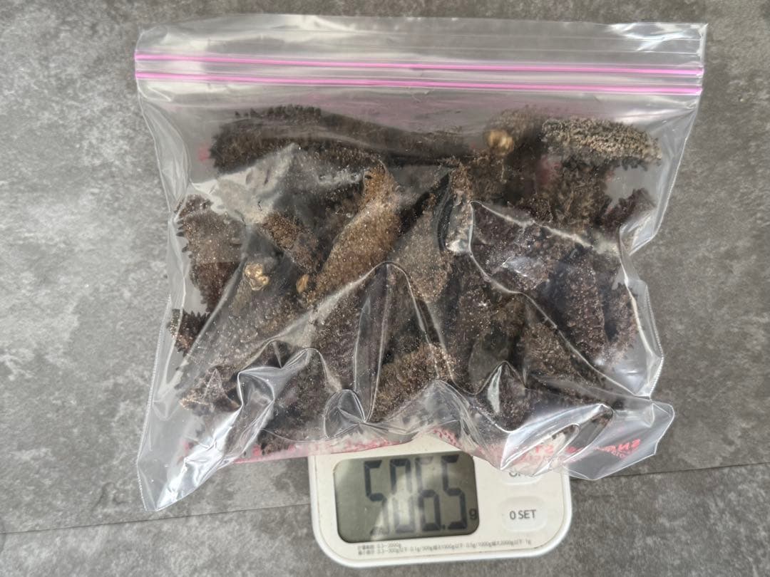 北海道産乾燥海鼠ナマコ B品 訳あり品　混合サイズ(大〜小) 合計500g