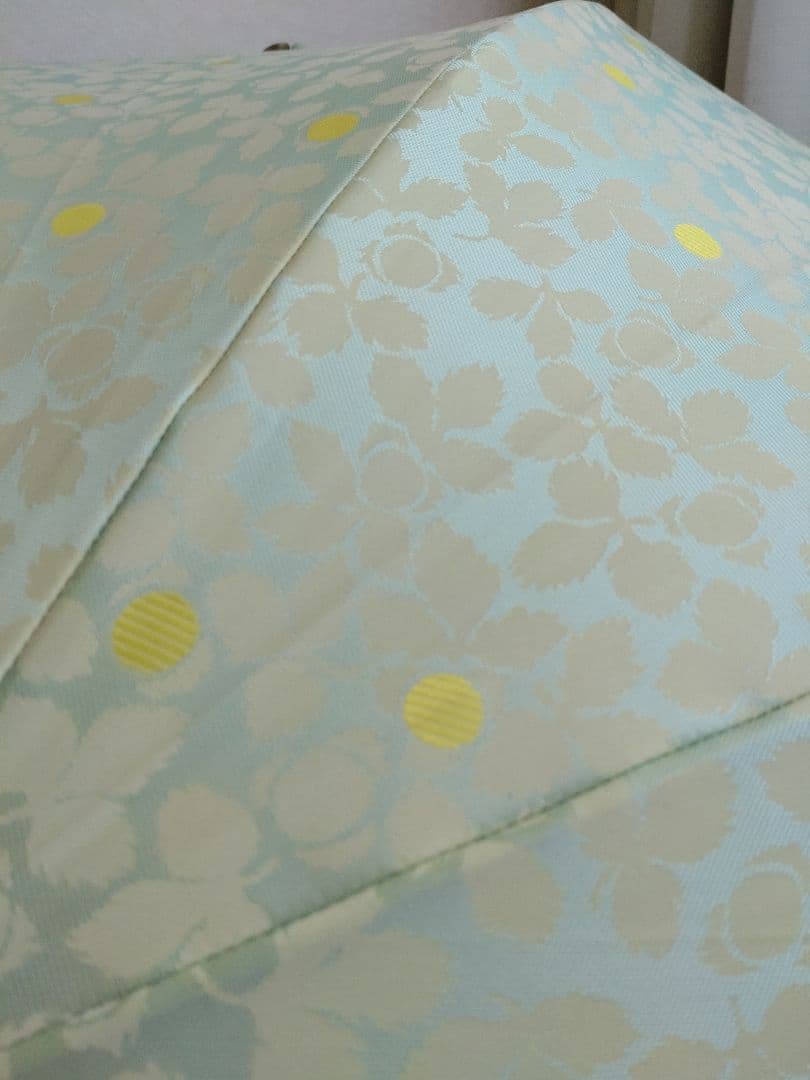 セール★レア★イイダ傘店★雨傘 野いちご グリーンベリー