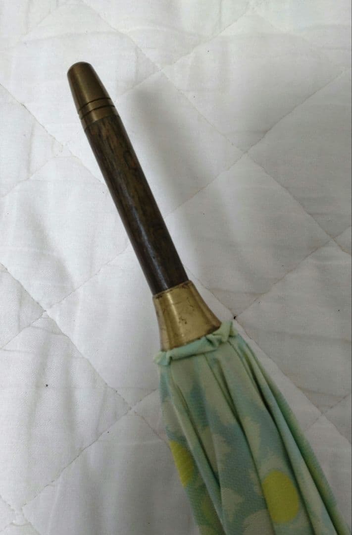 セール★レア★イイダ傘店★雨傘 野いちご グリーンベリー