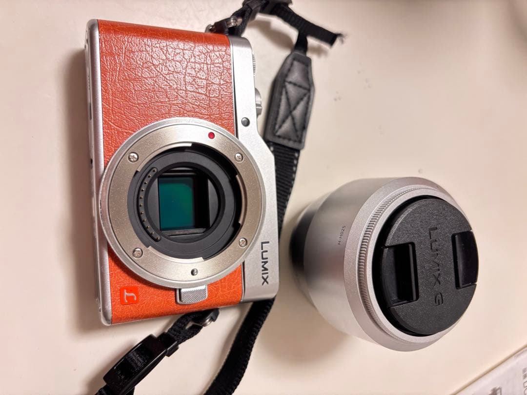 デジタルカメラ LUMIX DC-GF9W