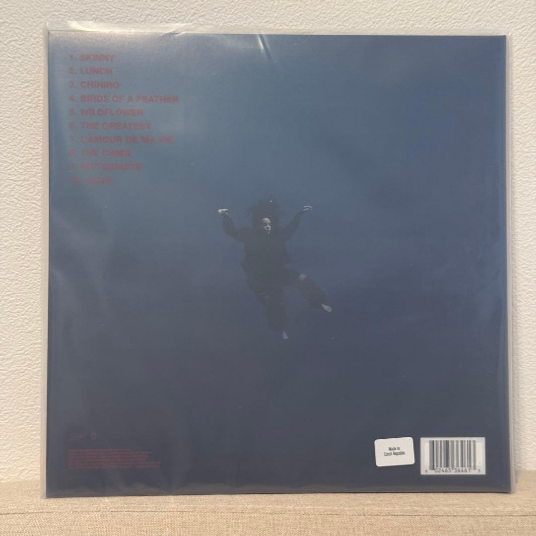 HIT ME HARD AND SOFT Vinyl LP レコード