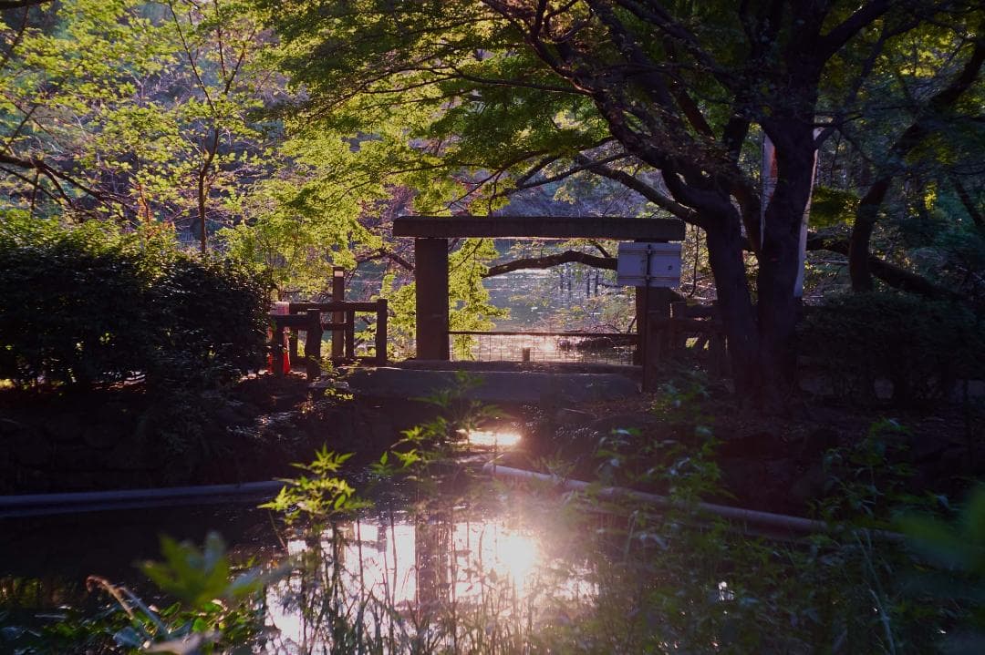 Jena Tessar 50mmF2.8 M42改造 円形12枚絞り