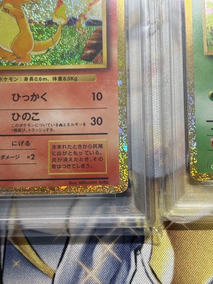 ヒトカゲ　フシギダネ　ゼニガメ　クラシック　PSA10 ゼニガメのみPSA9