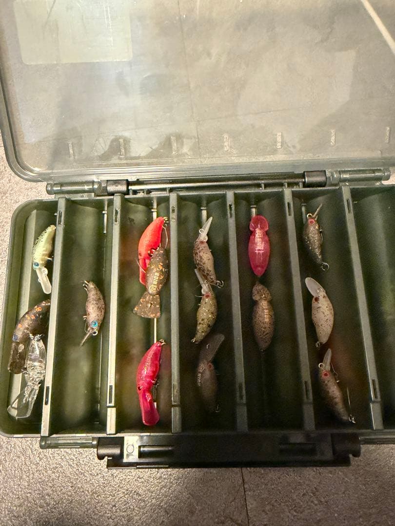 ダンゴウオ　　団子魚15個セット