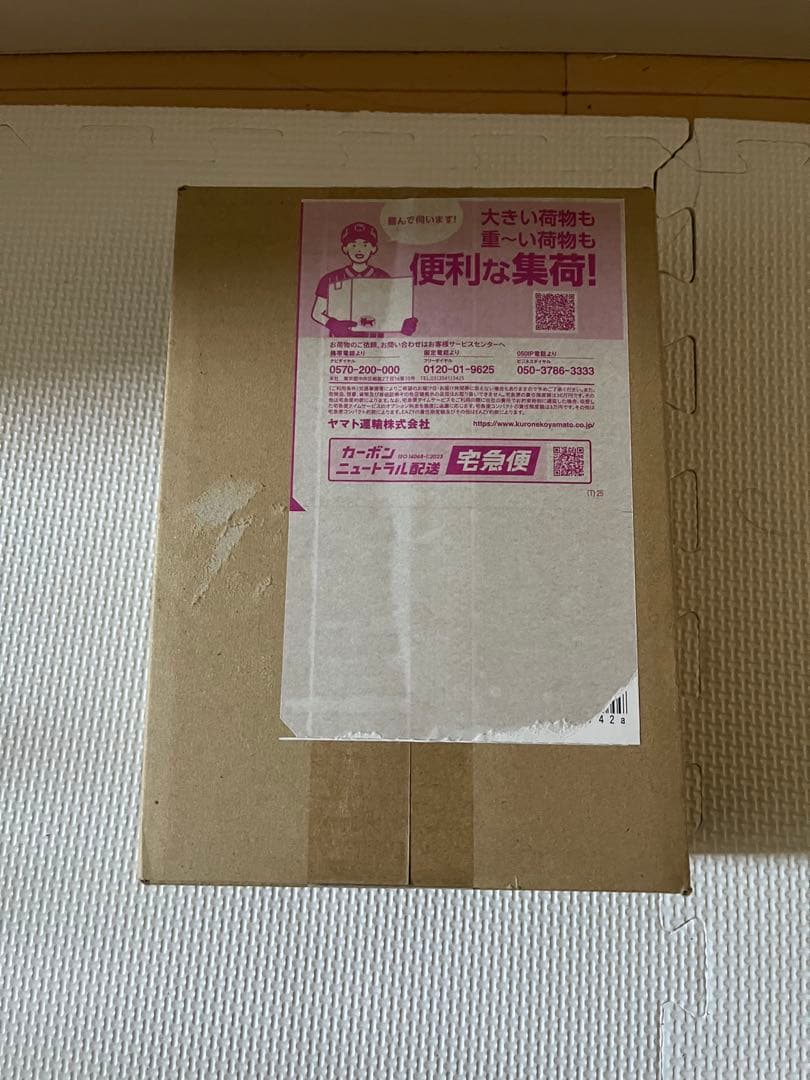 megaドリームex BOXシュリンク付き　ポケセン