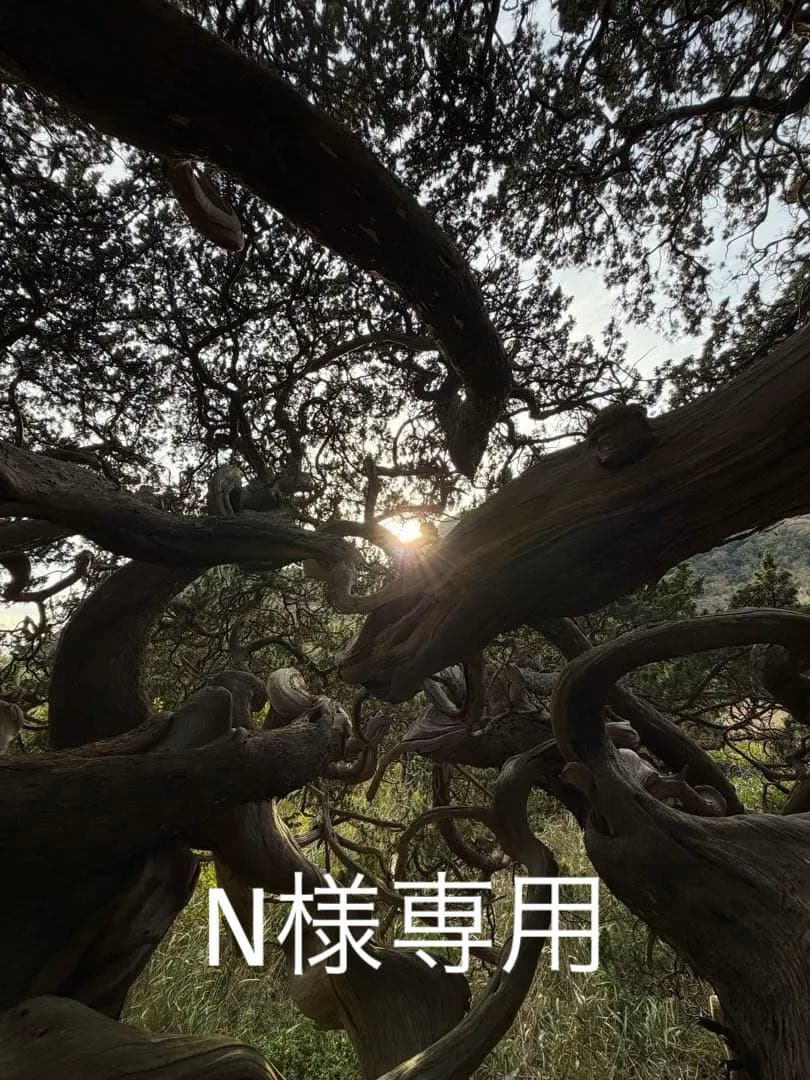 ⭐︎N⭐︎木製◎長火鉢◎五徳付き(灰なし)