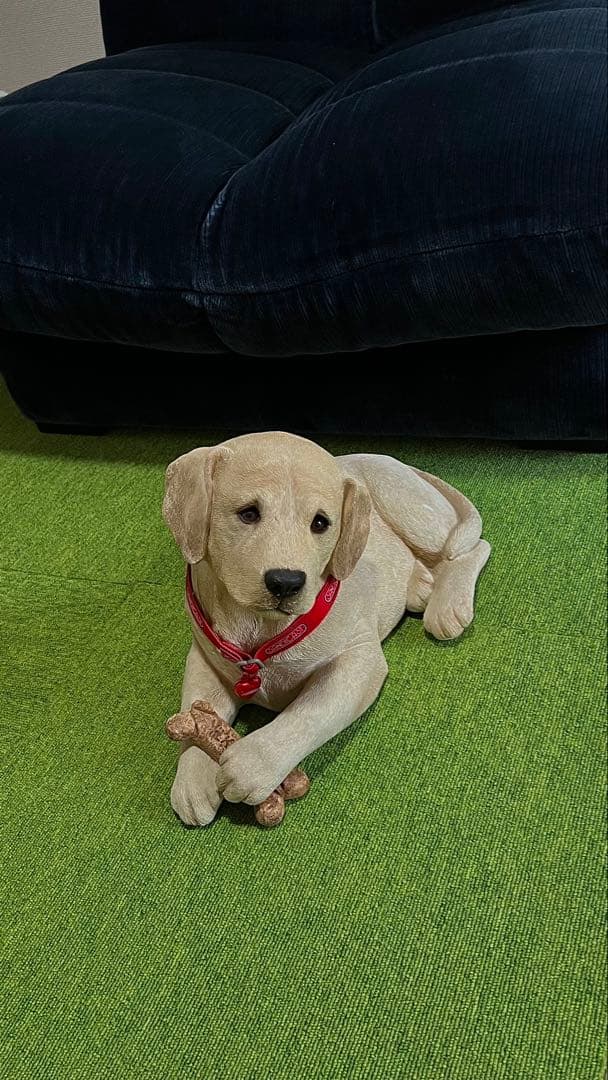 SANDICAST ラブラドールレトリバー 子犬 リアルサイズ アメリカ製 犬