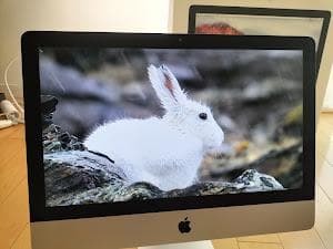 Macデスクトップ iMAC 2015 21.5