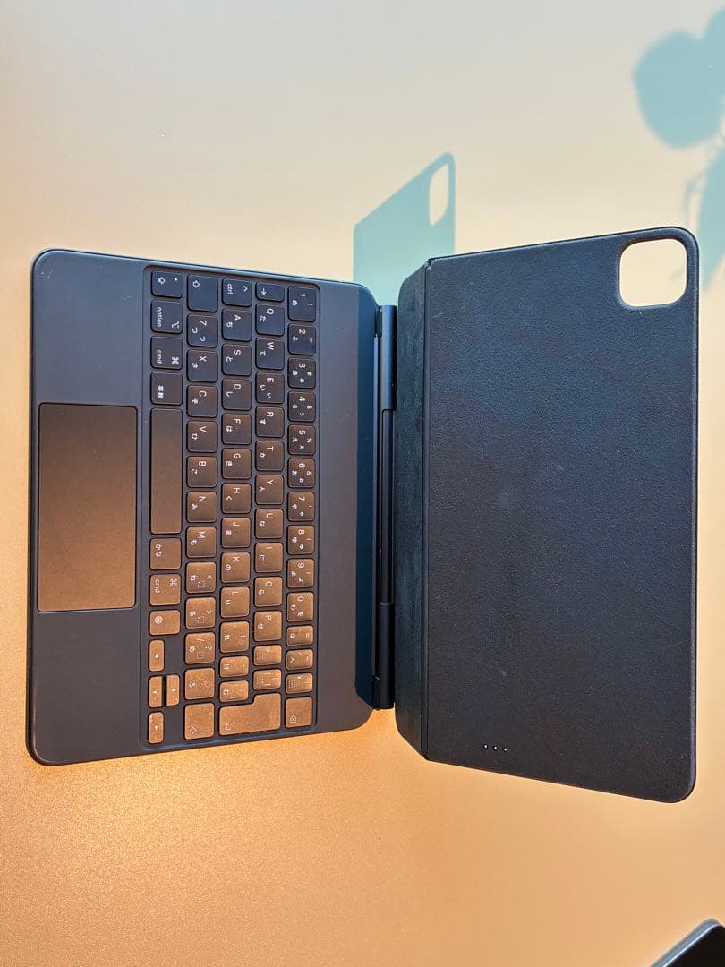 iPad Pro 第一世代 11インチ 256GB