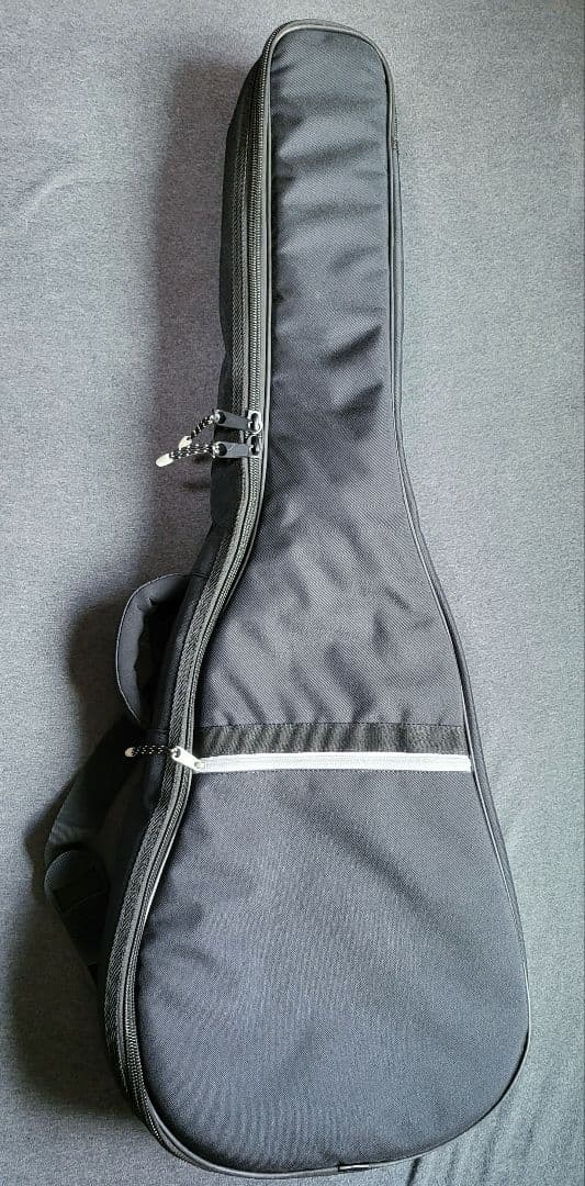 ギター Godin Rialto JR Satina Gray