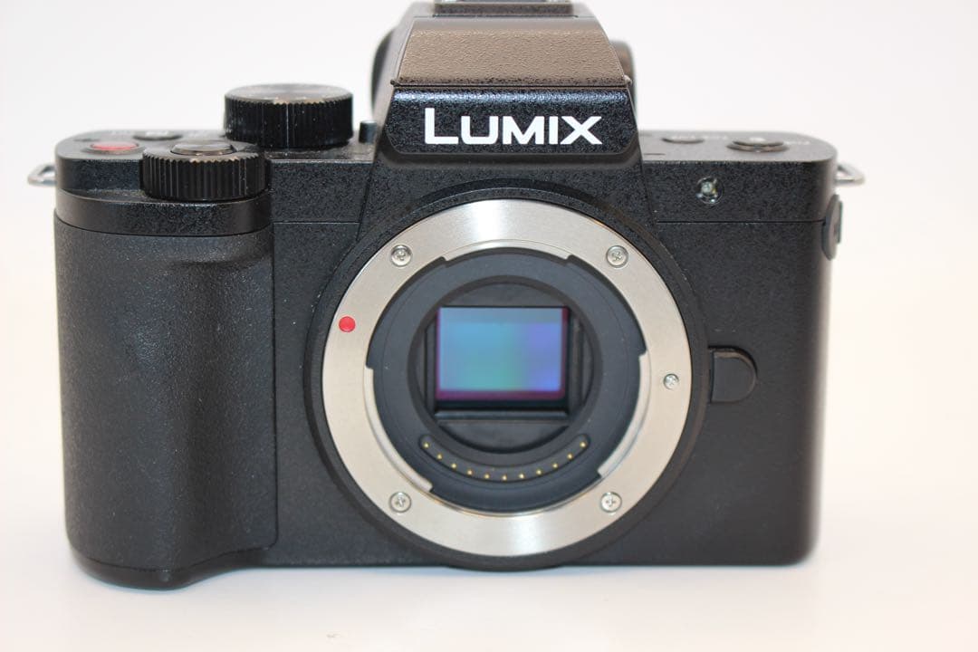 ★ショット数739回未使用級★LUMIX DC-G100 ボディ　グリップ付き