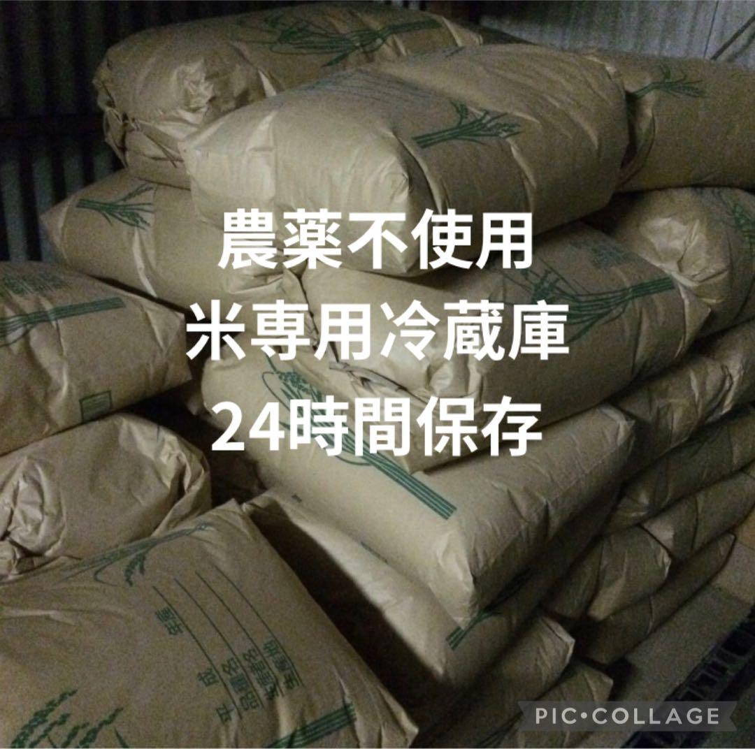 コシヒカリ 10kg 農薬不使用 玄米 国産 農家直送 安心安全 美容健康