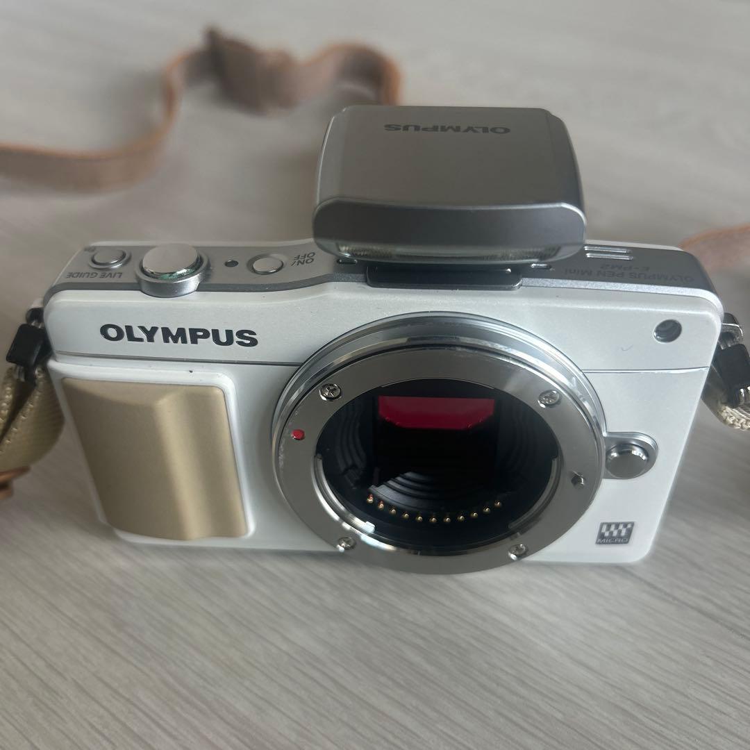 ✨美品✨Olympus PEN Mini E-PM2