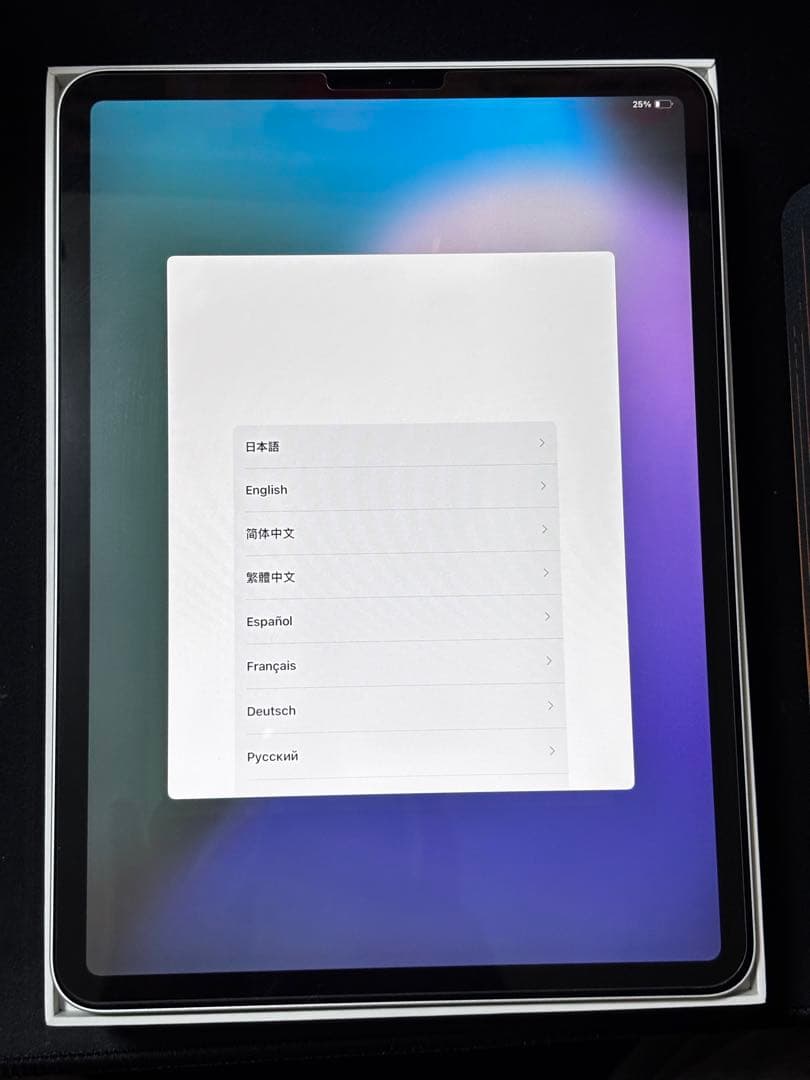 iPad Pro 第1世代 11インチ 256GB + Apple pencil