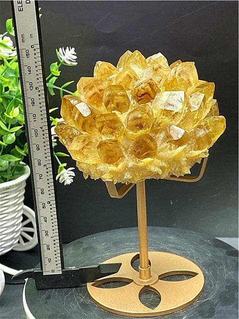 2点まとめて専用ページ