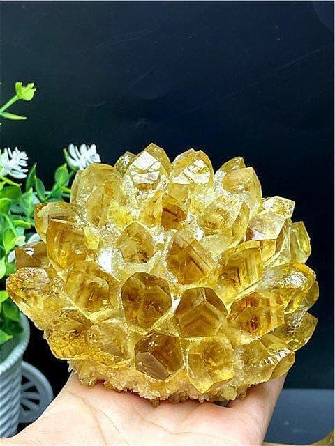 2点まとめて専用ページ