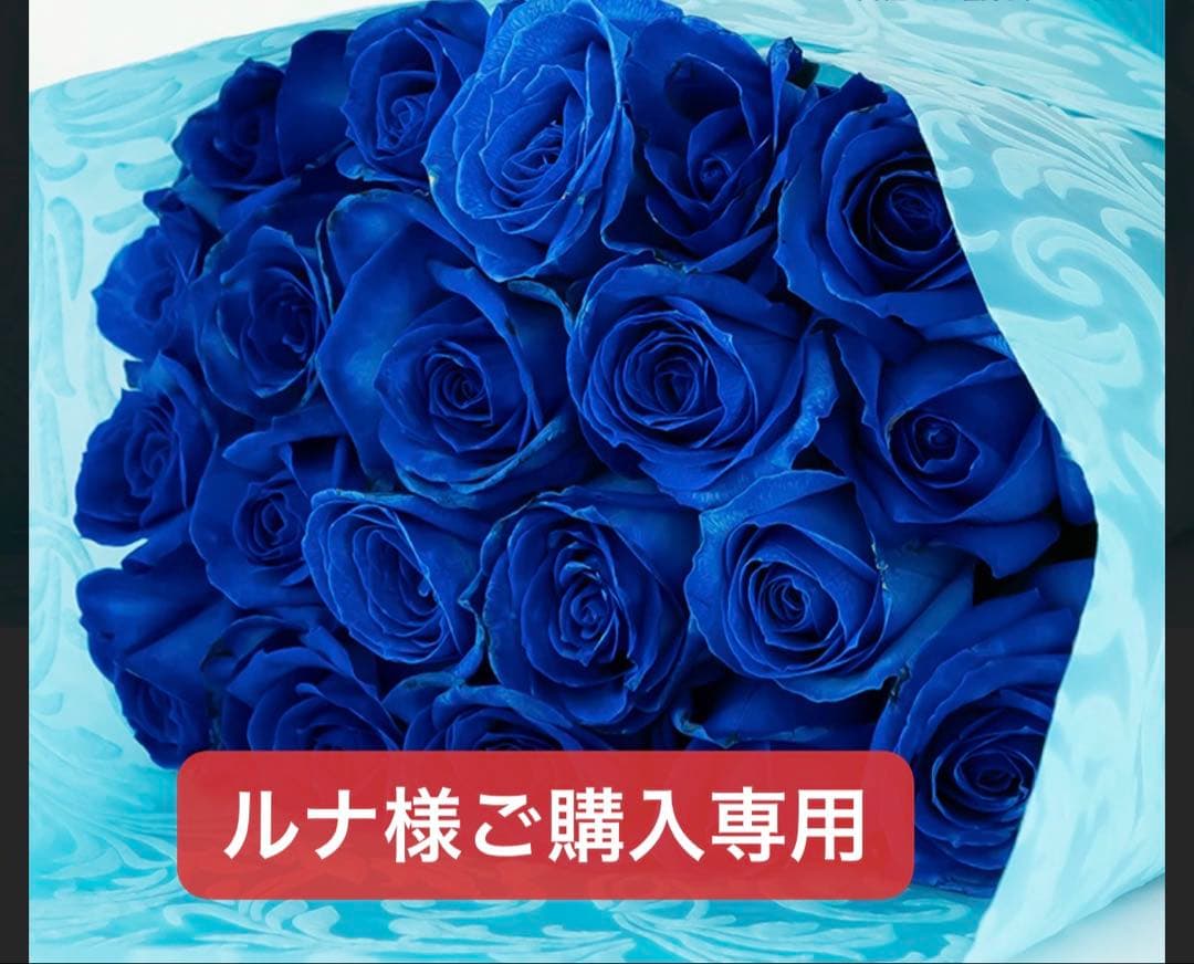 ルナ様ご購入専用