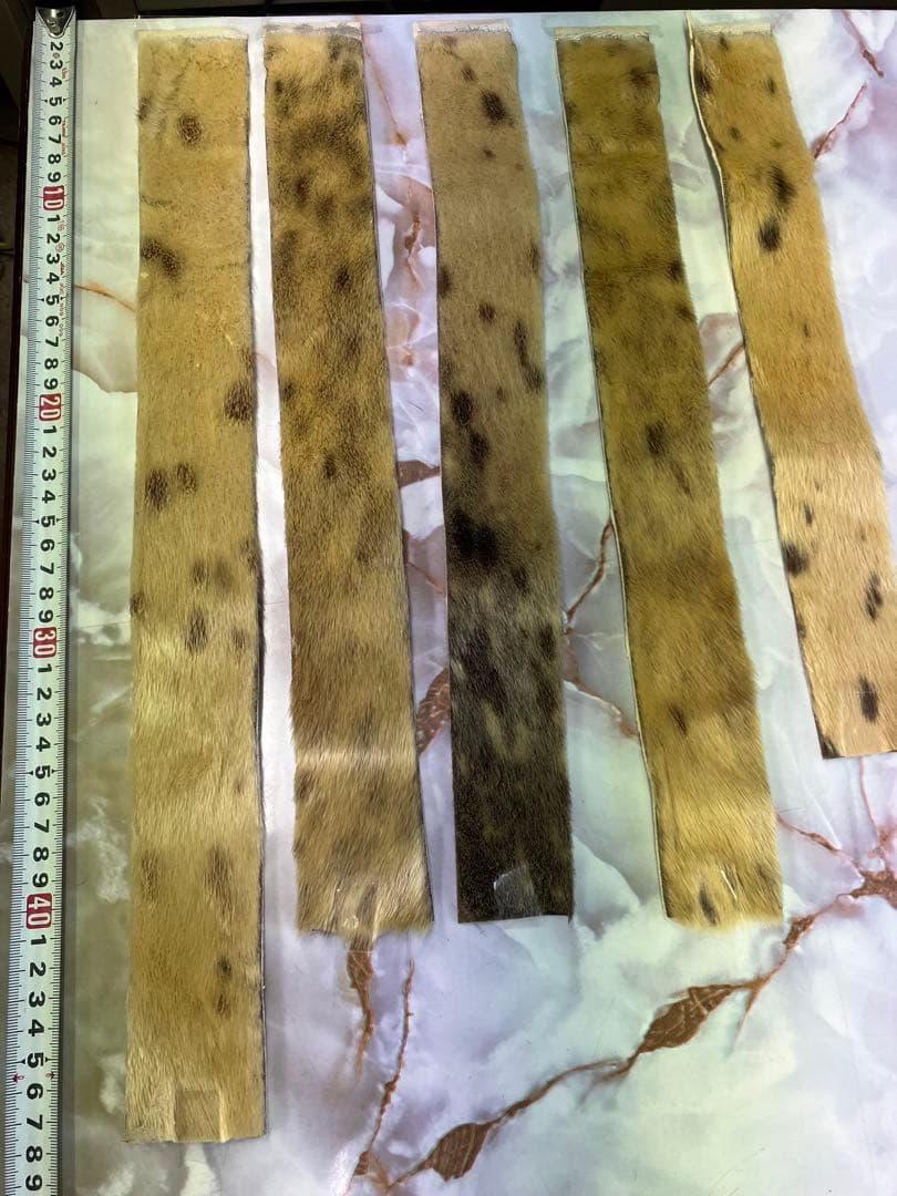 山スキーシール10点セット（接着剤は付いていません）