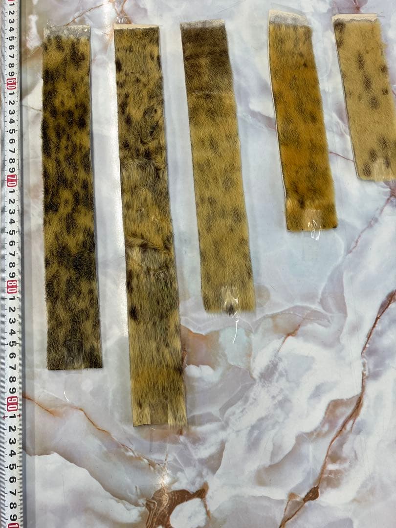 山スキーシール10点セット（接着剤は付いていません）