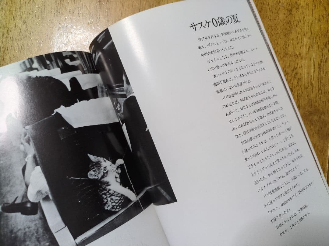 ビバ！サスケ 猫の写真集 深瀬昌久