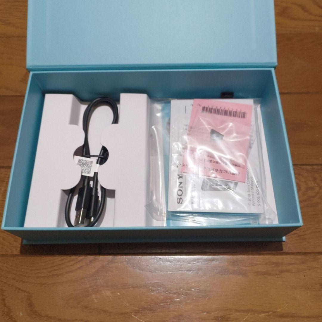 SONY ウォークマン NW-A100TPS 40周年記念モデル　ジャンク