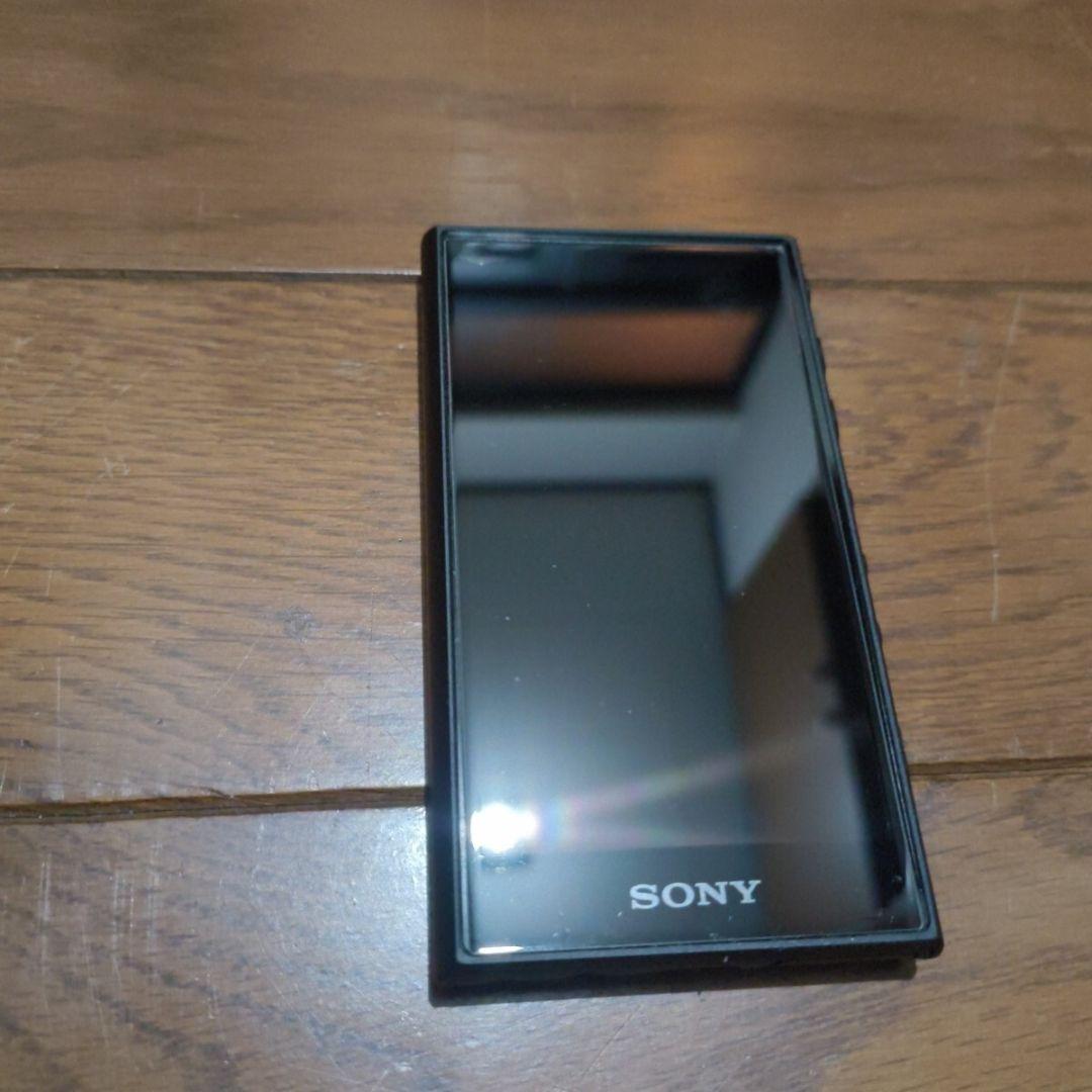 SONY ウォークマン NW-A100TPS 40周年記念モデル　ジャンク