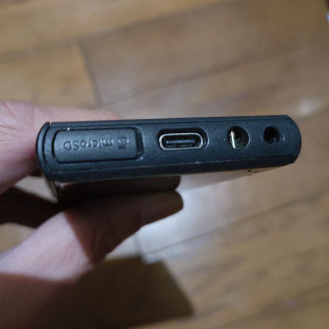 SONY ウォークマン NW-A100TPS 40周年記念モデル　ジャンク