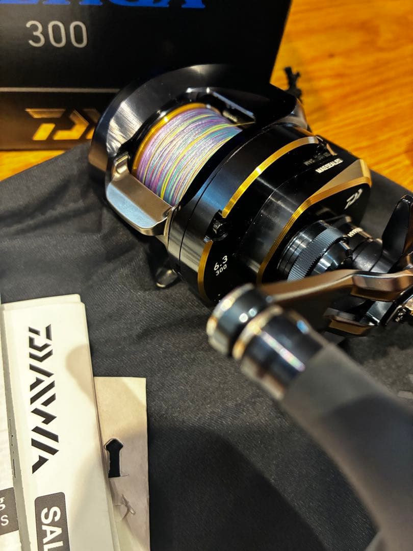 DAIWA 25 ソルティガ 300