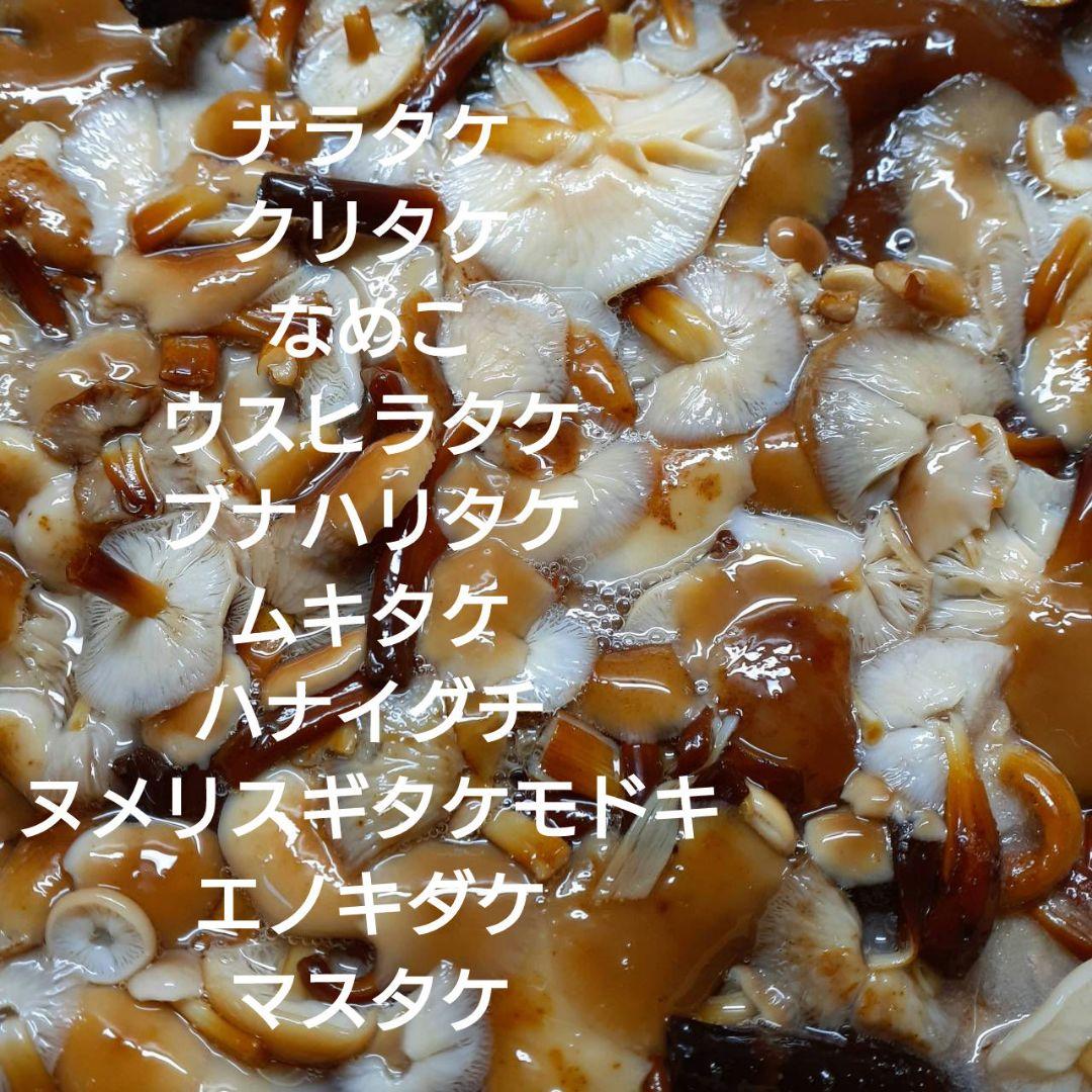 秋田県産 天然きのこ 10種類 MIX 塩漬け 塩蔵